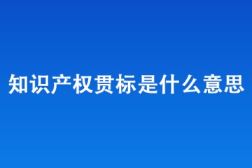 知識產(chǎn)權(quán)貫標是什么意思？有什么用？