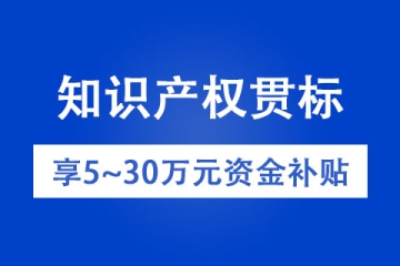 鄭州知識(shí)產(chǎn)權(quán)貫標(biāo)申報(bào)條件以及補(bǔ)貼政策