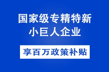 濮陽(yáng)國(guó)家級(jí)專(zhuān)精特新小巨人企業(yè)補(bǔ)貼政策以及申報(bào)條件