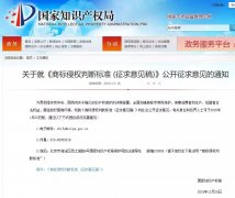 剛剛！國(guó)知局發(fā)布《商標(biāo)侵權(quán)判斷標(biāo)準(zhǔn) (征求意見(jiàn)稿)》全文